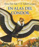 On the wings of the condor