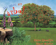 asi nace un arbol